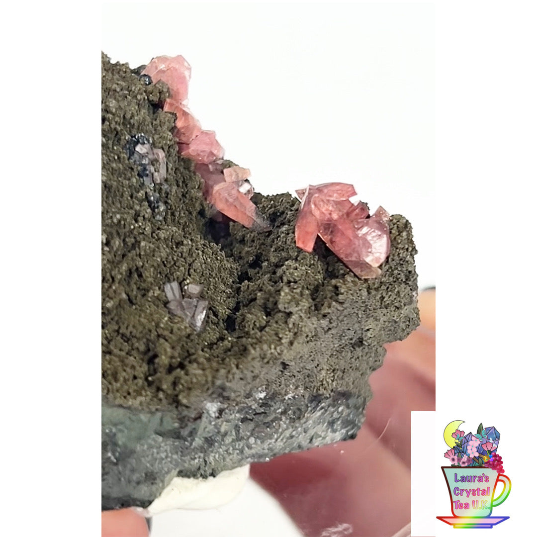 Rare Gem Rhodochrosite Salmon Pink DT From Potisi Mine, Francisco, Santa Eulalia, Chihuahua, Mexico 🇲🇽 #6