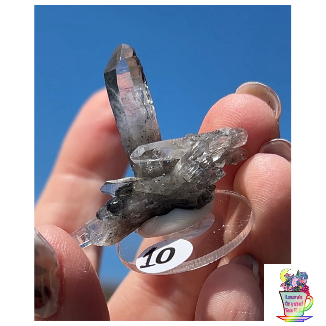 Black Vera Cruz from Piedra Parada, Veracruz, Mexico 🇲🇽 #10 - Small
