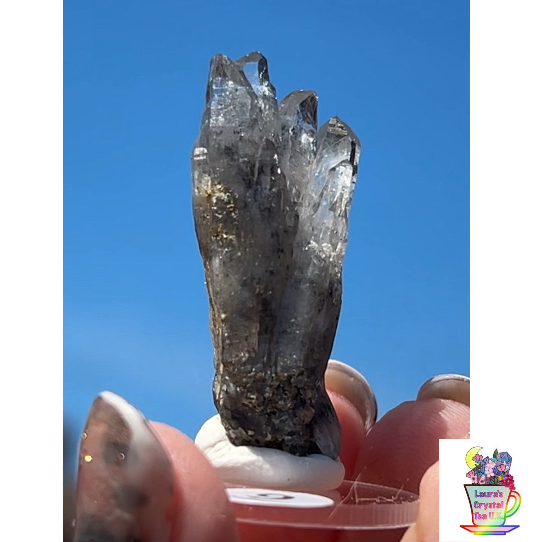 Black Vera Cruz from Piedra Parada, Veracruz, Mexico 🇲🇽 #9 - Small