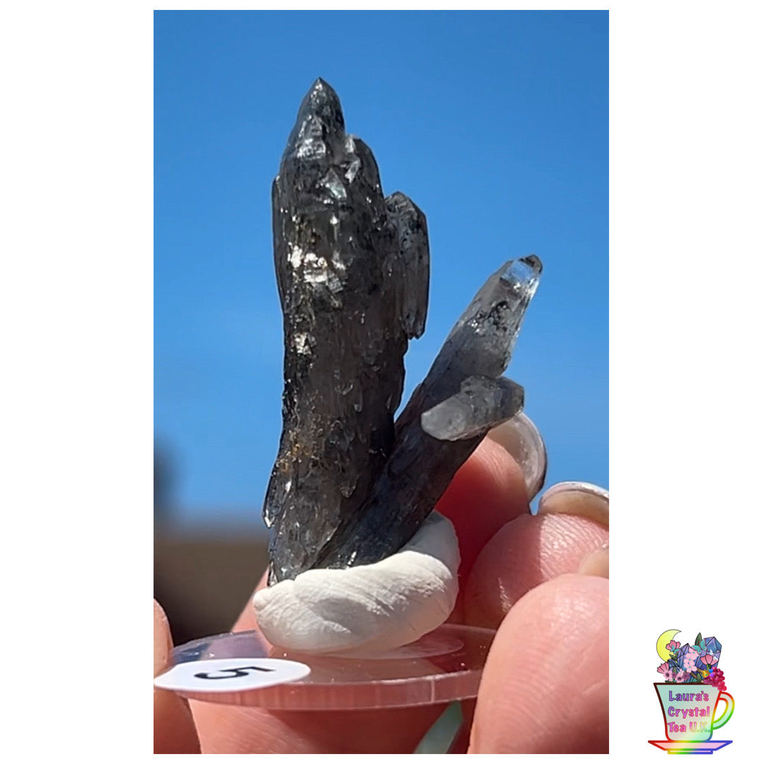 Black Vera Cruz from Piedra Parada, Veracruz, Mexico 🇲🇽 #5 - Small