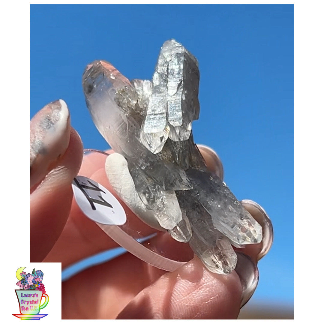 Black Vera Cruz from Piedra Parada, Veracruz, Mexico 🇲🇽 #11 - Small