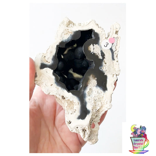 Fossilised Agatised Coral🪸 3a Large Single Limited Edition From Florida, USA 🇺🇸 Green UV