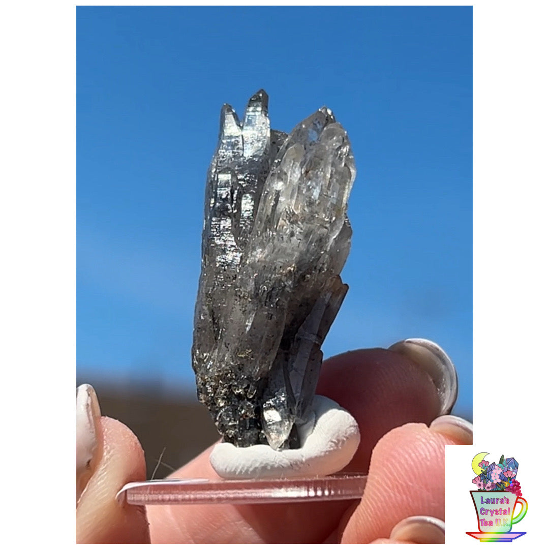 Black Vera Cruz from Piedra Parada, Veracruz, Mexico 🇲🇽 #9 - Small