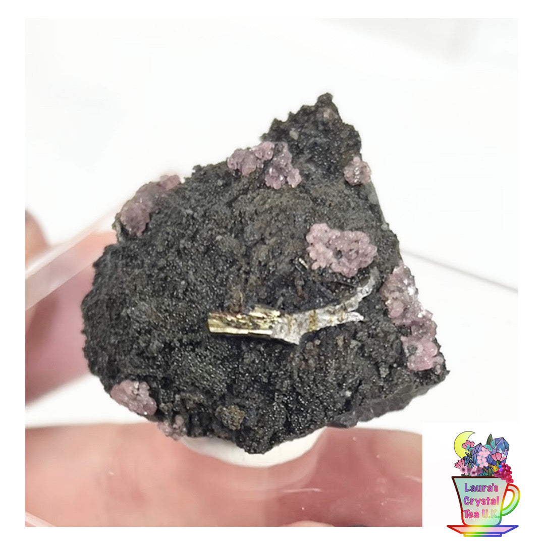 Rare Gem Rhodochrosite Pink DT Flowers From Potisi Mine, Francisco, Santa Eulalia, Chihuahua, Mexico 🇲🇽 #3