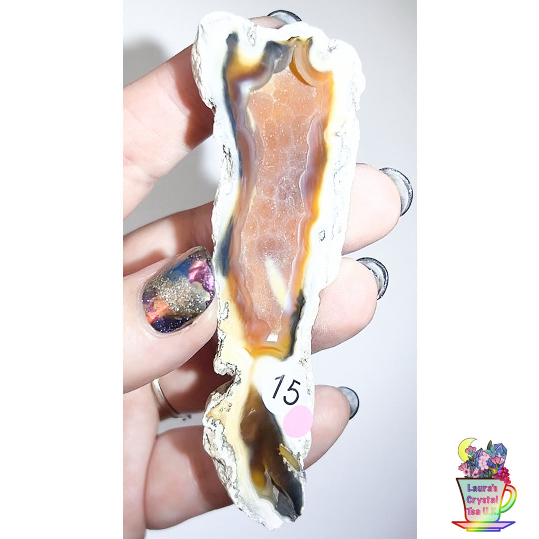 Fossilised Agatised Coral 🪸 15a Small Single Limited Edition From Florida, USA 🇺🇸 Green UV