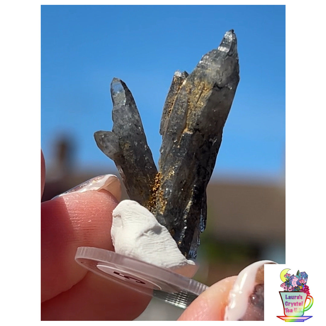 Black Vera Cruz from Piedra Parada, Veracruz, Mexico 🇲🇽 #5 - Small