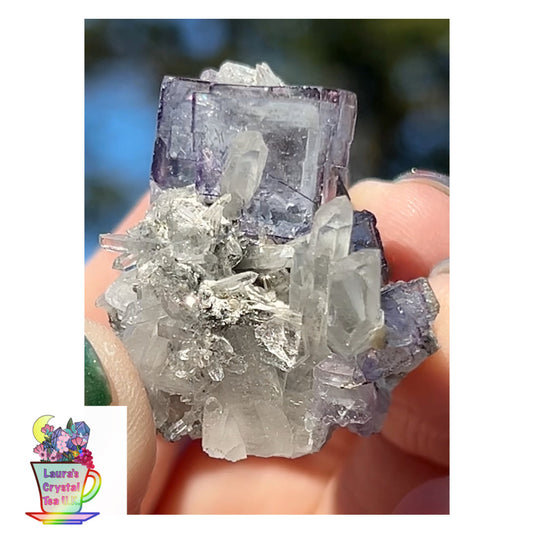 Rare YGX Rutile Blue Fluorite w/ Purple Edges & Black Rutile Twin On Chlorite Quartz From Yao Gang Xian Mine, Chenzhou, Hunan, China ๐จ๐ณ #2