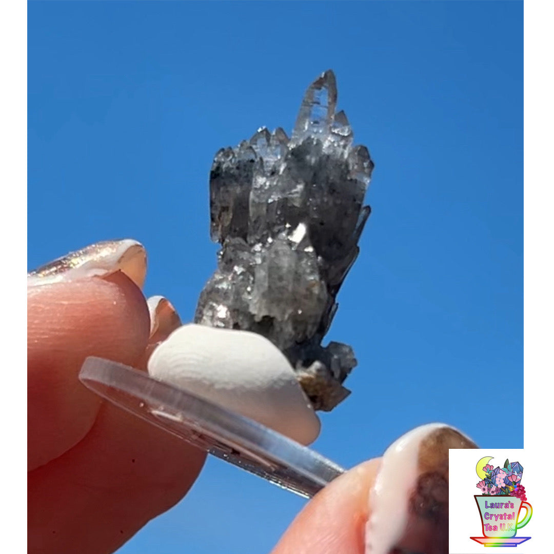 Black Vera Cruz from Piedra Parada, Veracruz, Mexico 🇲🇽 #13 - Small