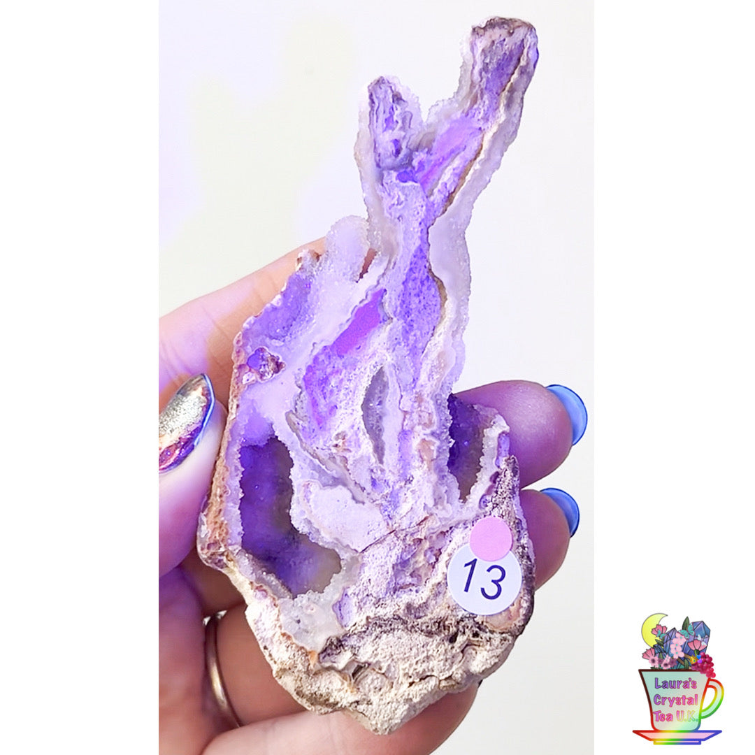 Fossilised Agatised Coral 🪸 13a Medium Single Limited Edition From Florida, USA 🇺🇸 Green UV