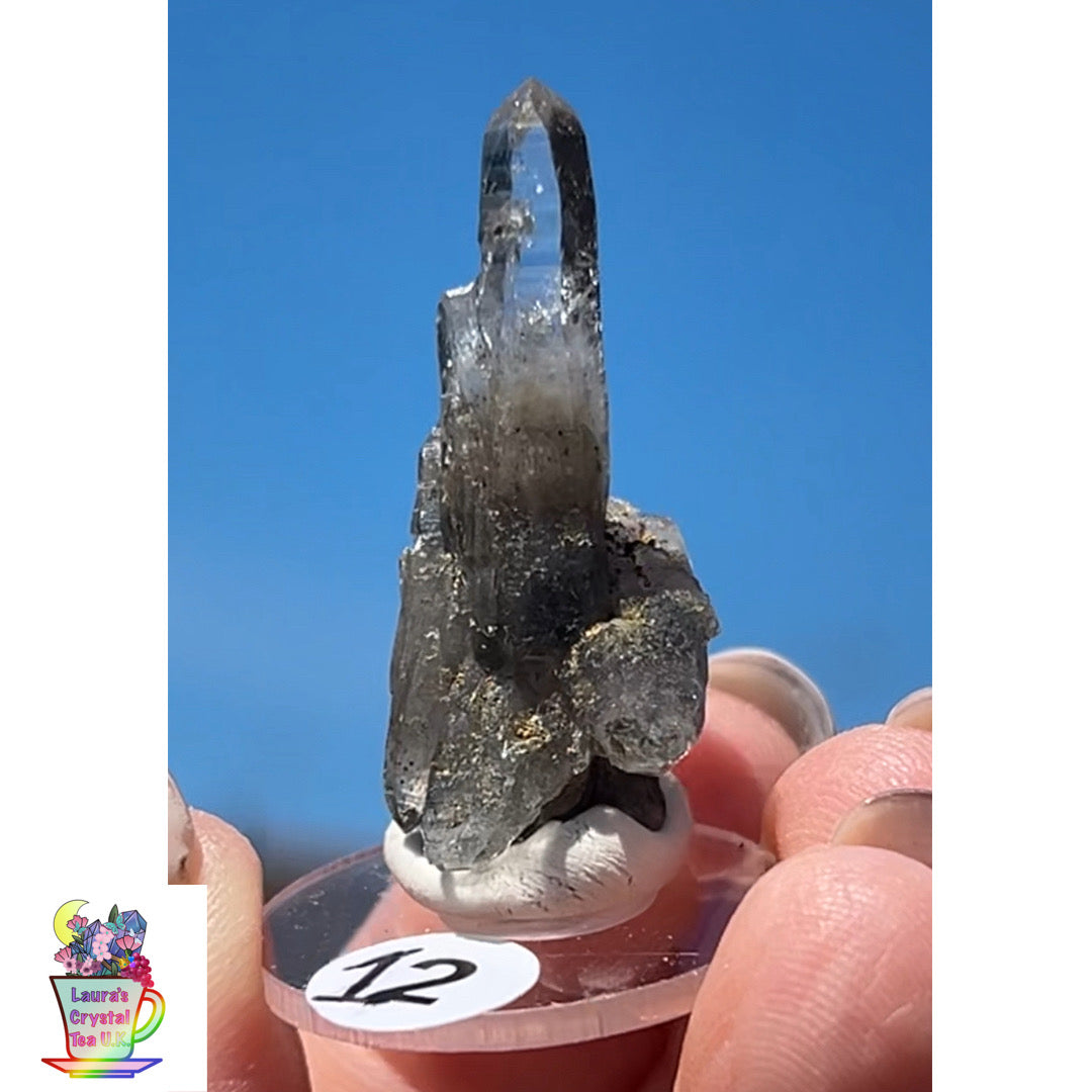Black Vera Cruz from Piedra Parada, Veracruz, Mexico 🇲🇽 #12 - Small