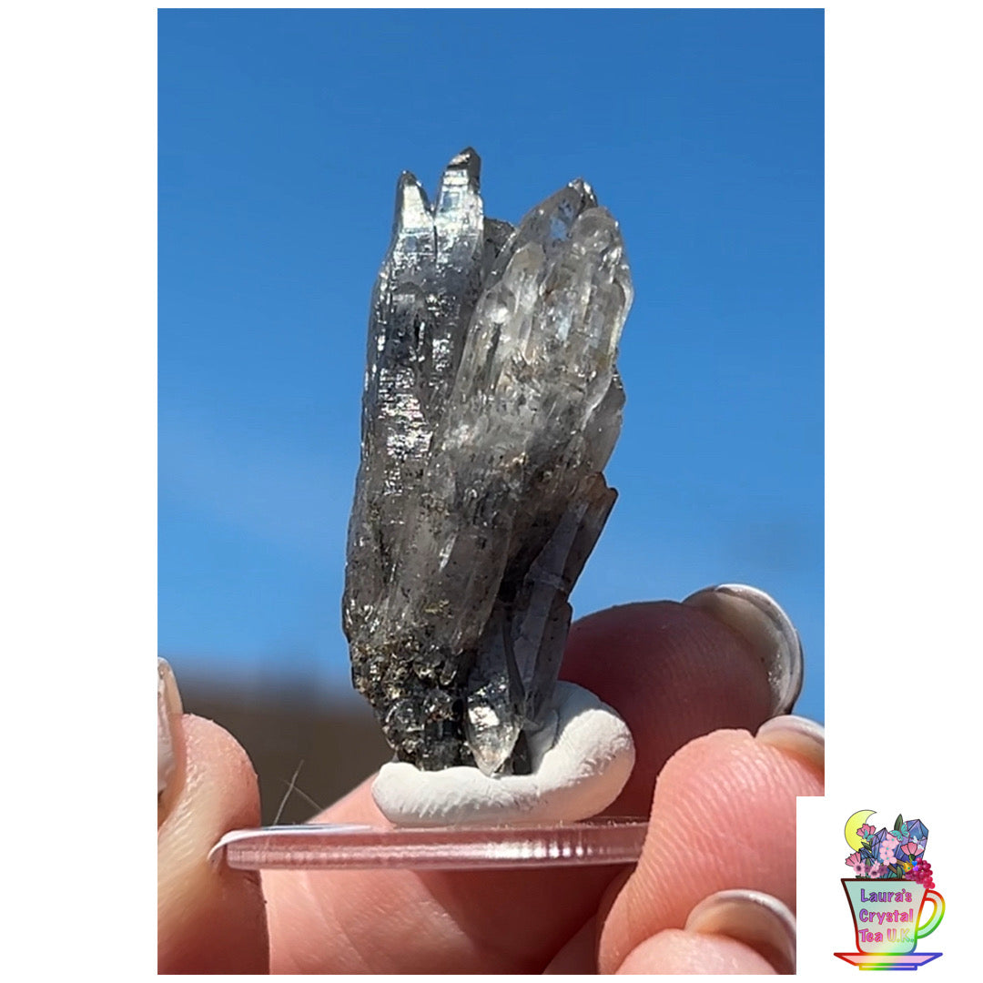 Black Vera Cruz from Piedra Parada, Veracruz, Mexico 🇲🇽 #9 - Small