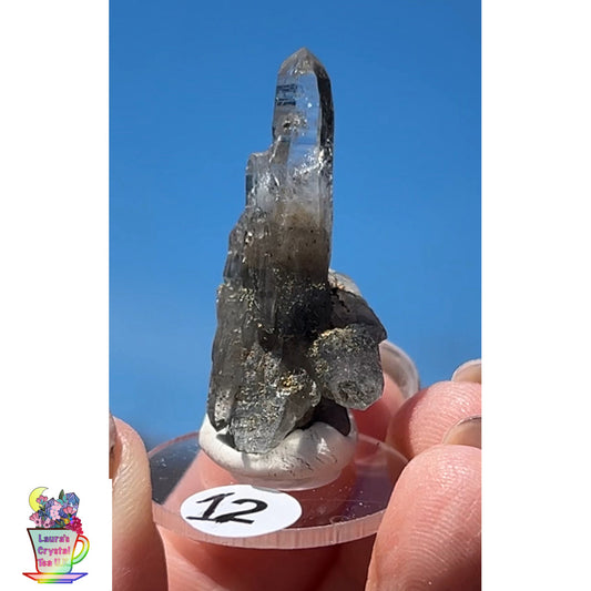 Black Vera Cruz from Piedra Parada, Veracruz, Mexico 🇲🇽 #12 - Small