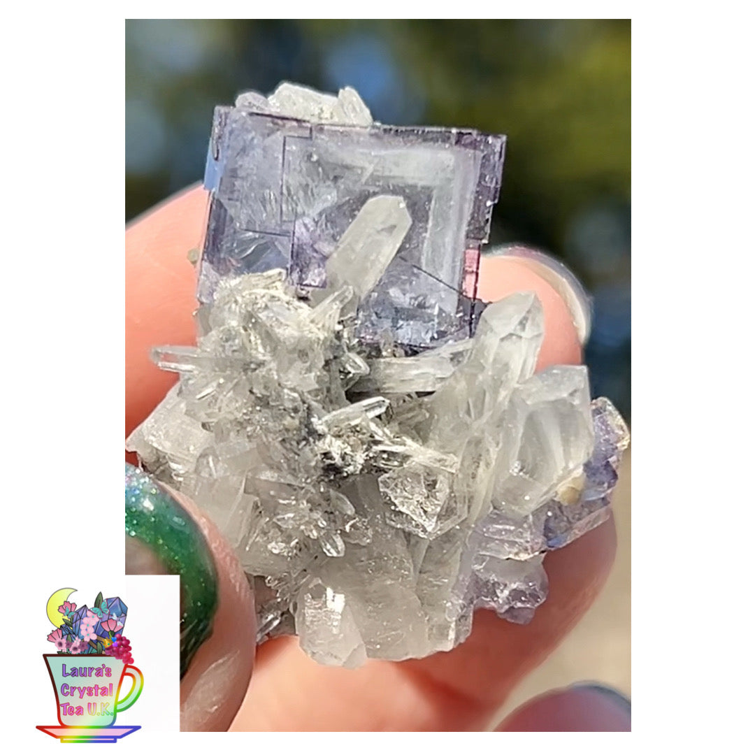 Rare YGX Rutile Blue Fluorite w/ Purple Edges & Black Rutile Twin On Chlorite Quartz From Yao Gang Xian Mine, Chenzhou, Hunan, China 🇨🇳 #2