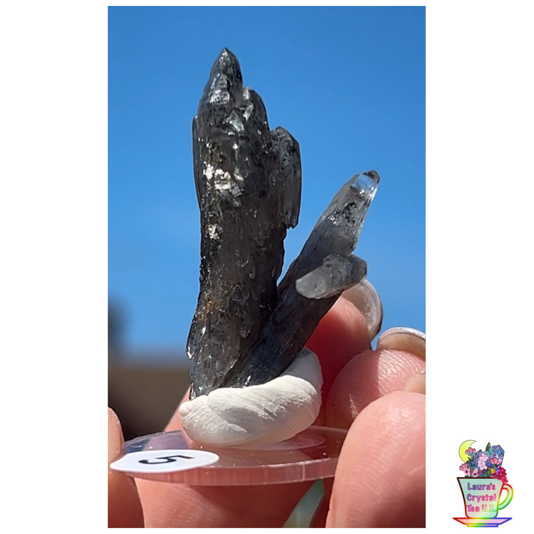 Black Vera Cruz from Piedra Parada, Veracruz, Mexico 🇲🇽 #5 - Small