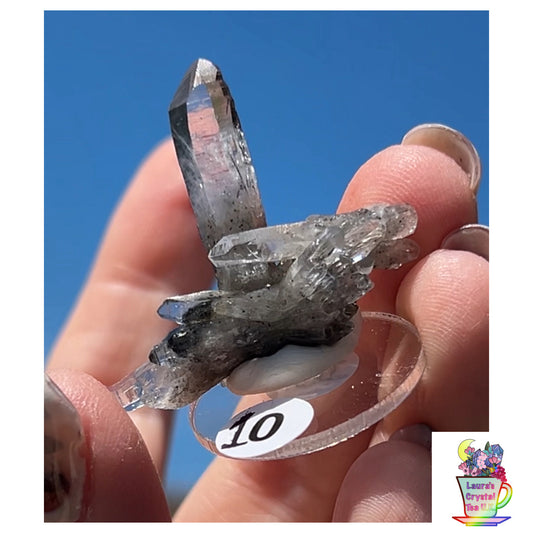 Black Vera Cruz from Piedra Parada, Veracruz, Mexico 🇲🇽 #10 - Small