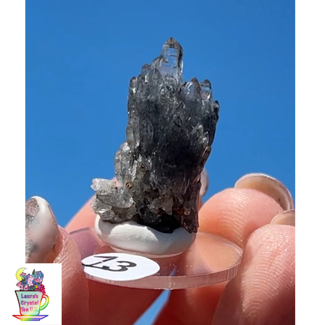 Black Vera Cruz from Piedra Parada, Veracruz, Mexico 🇲🇽 #13 - Small