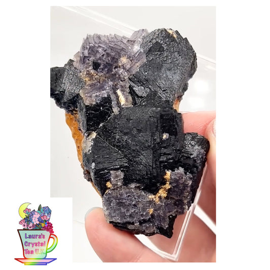 โBlack Jackโ Blue John Fluorite #5 from Old Tor Mine, National Trust Property, Castleton, High Peak, Derbyshire, U.K. ๐ฌ๐ง Independently Mined in 1980s - Closed Mine