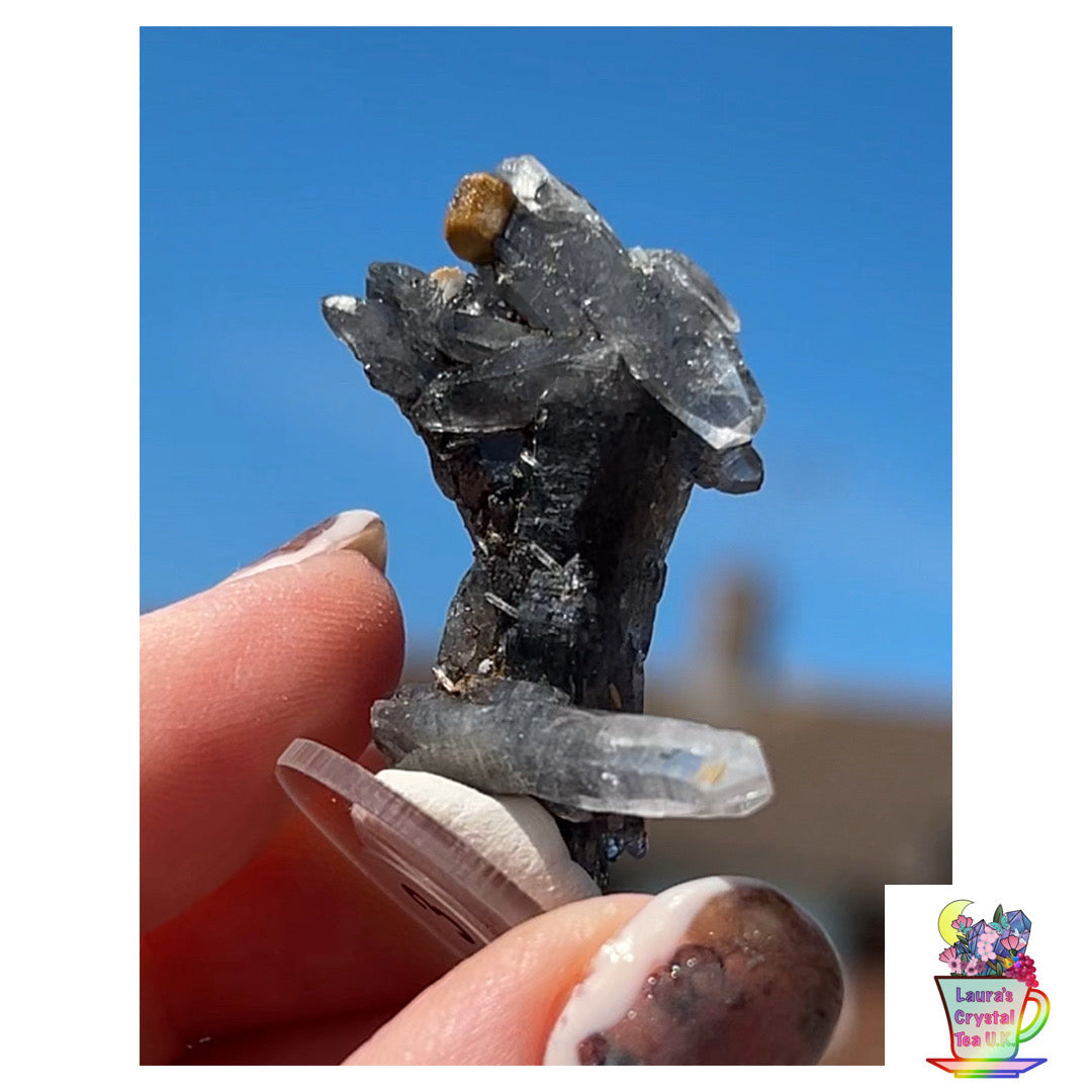 Black Vera Cruz from Piedra Parada, Veracruz, Mexico 🇲🇽 #3 - Small