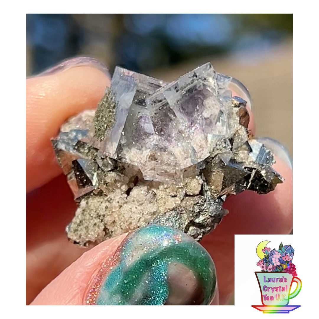 Rare YGX Rutile Glass Clear Fluorite w/ Black Rutile Twin On Wolframite, Muscovite & Chalcopyrite From Yao Gang Xian Mine, Chenzhou, Hunan, China 🇨🇳 #16