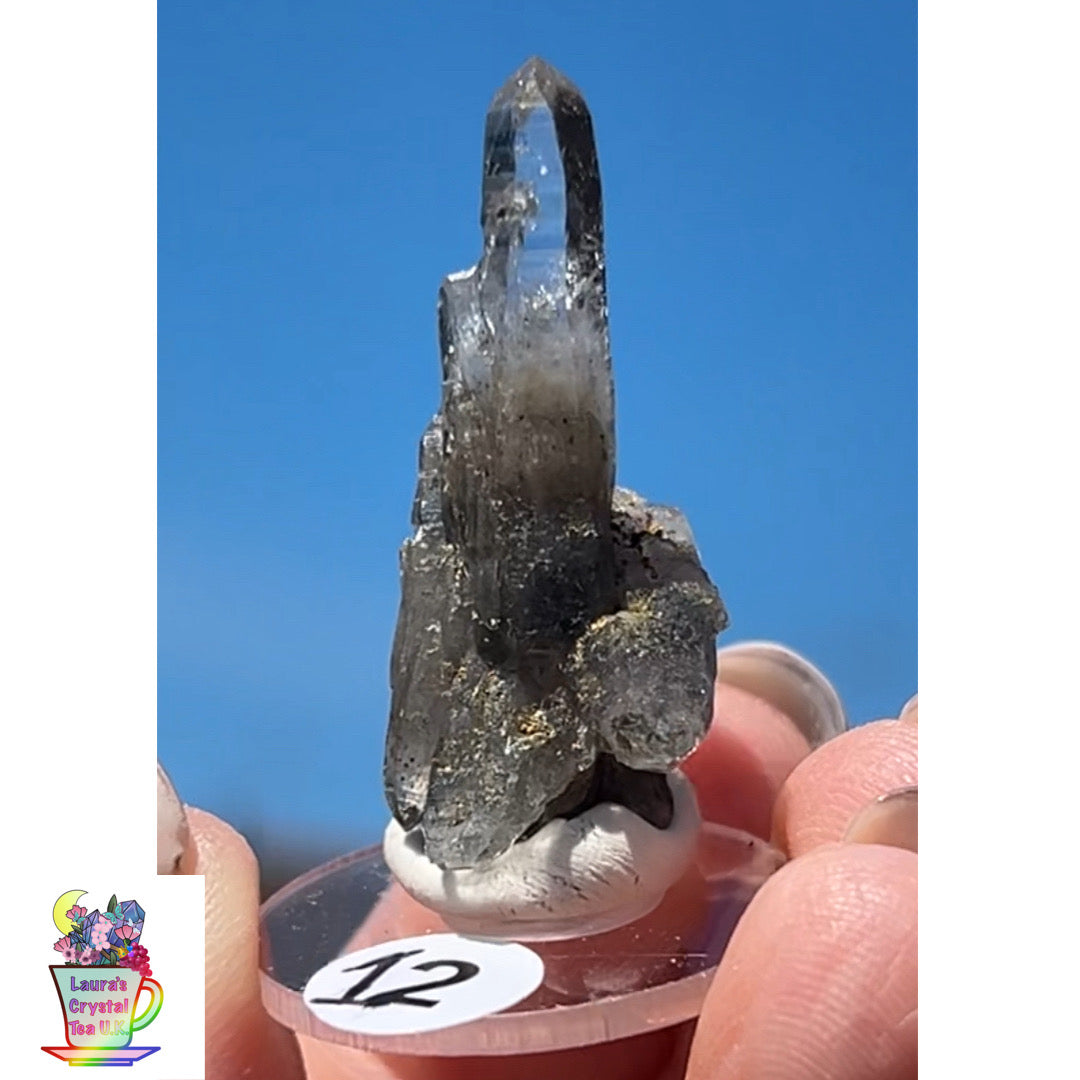 Black Vera Cruz from Piedra Parada, Veracruz, Mexico 🇲🇽 #12 - Small