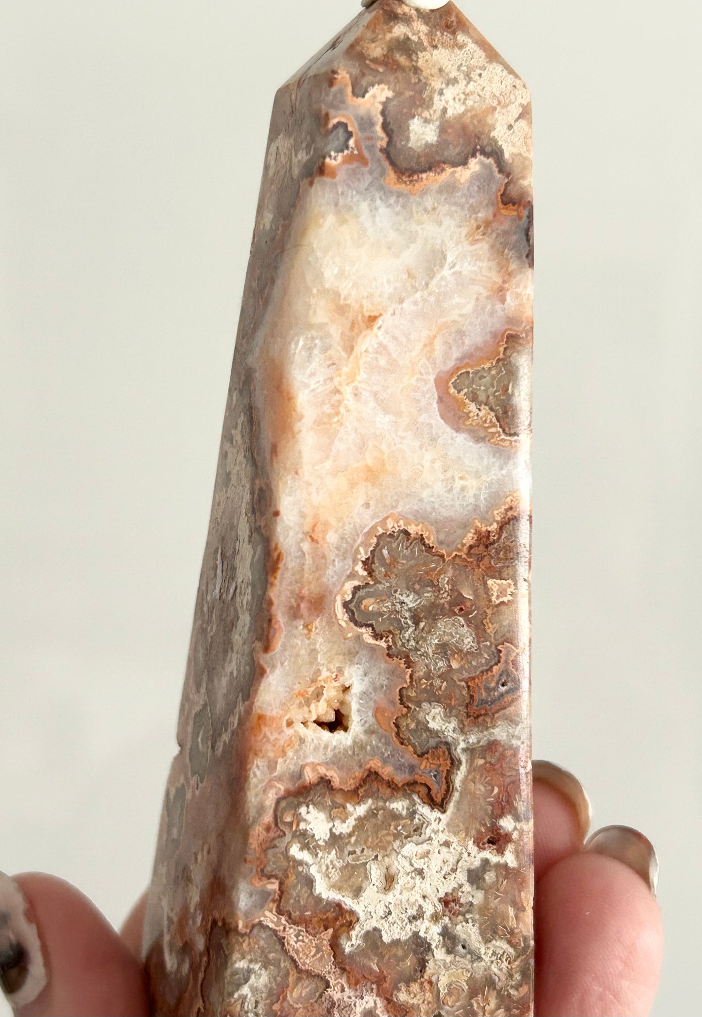 Chocolate Brown Crazy Lace Tower