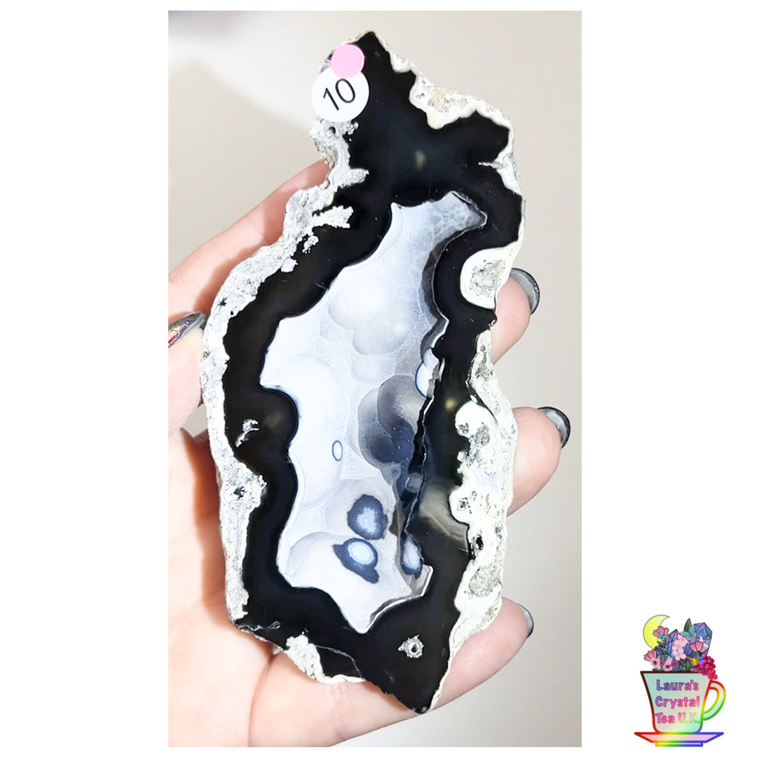 Fossilised Agatised Coral 🪸 10a Large Single Limited Edition From Florida, USA 🇺🇸 Green UV