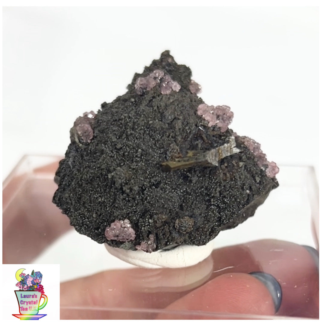 Rare Gem Rhodochrosite Pink DT Flowers From Potisi Mine, Francisco, Santa Eulalia, Chihuahua, Mexico 🇲🇽 #3