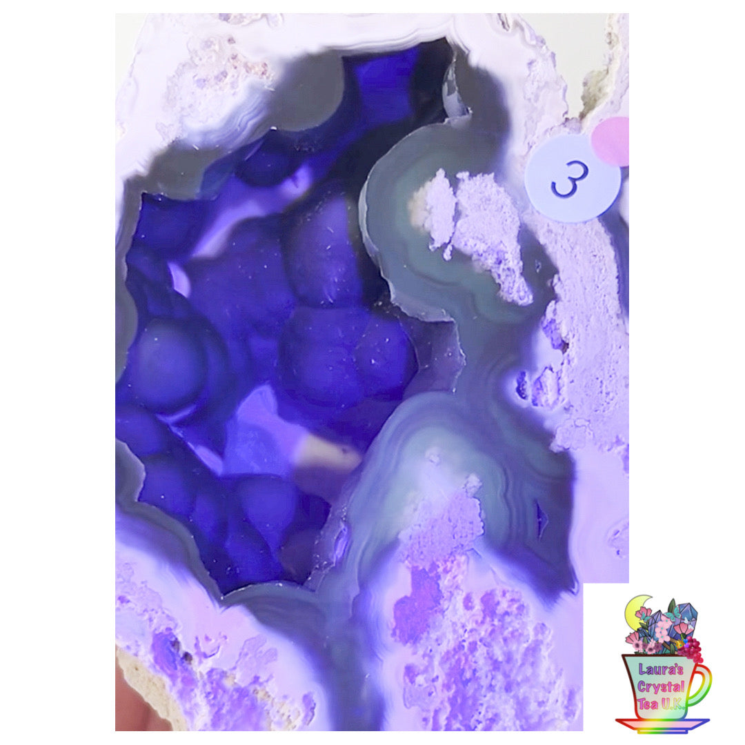 Fossilised Agatised Coral🪸 3a Large Single Limited Edition From Florida, USA 🇺🇸 Green UV
