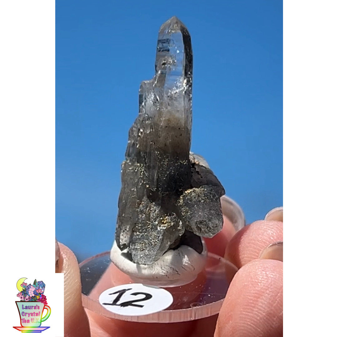 Black Vera Cruz from Piedra Parada, Veracruz, Mexico 🇲🇽 #12 - Small