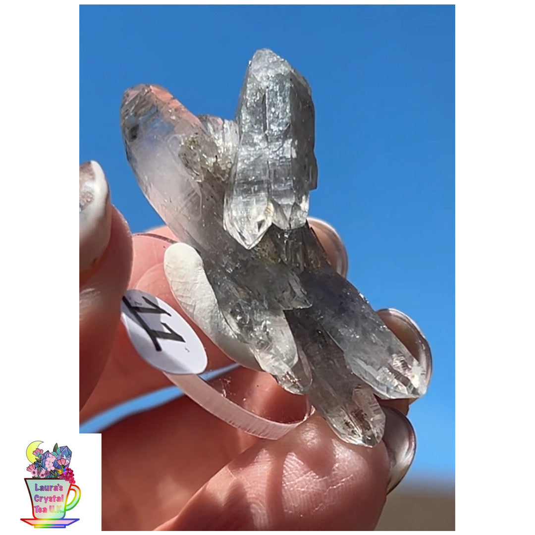 Black Vera Cruz from Piedra Parada, Veracruz, Mexico 🇲🇽 #11 - Small