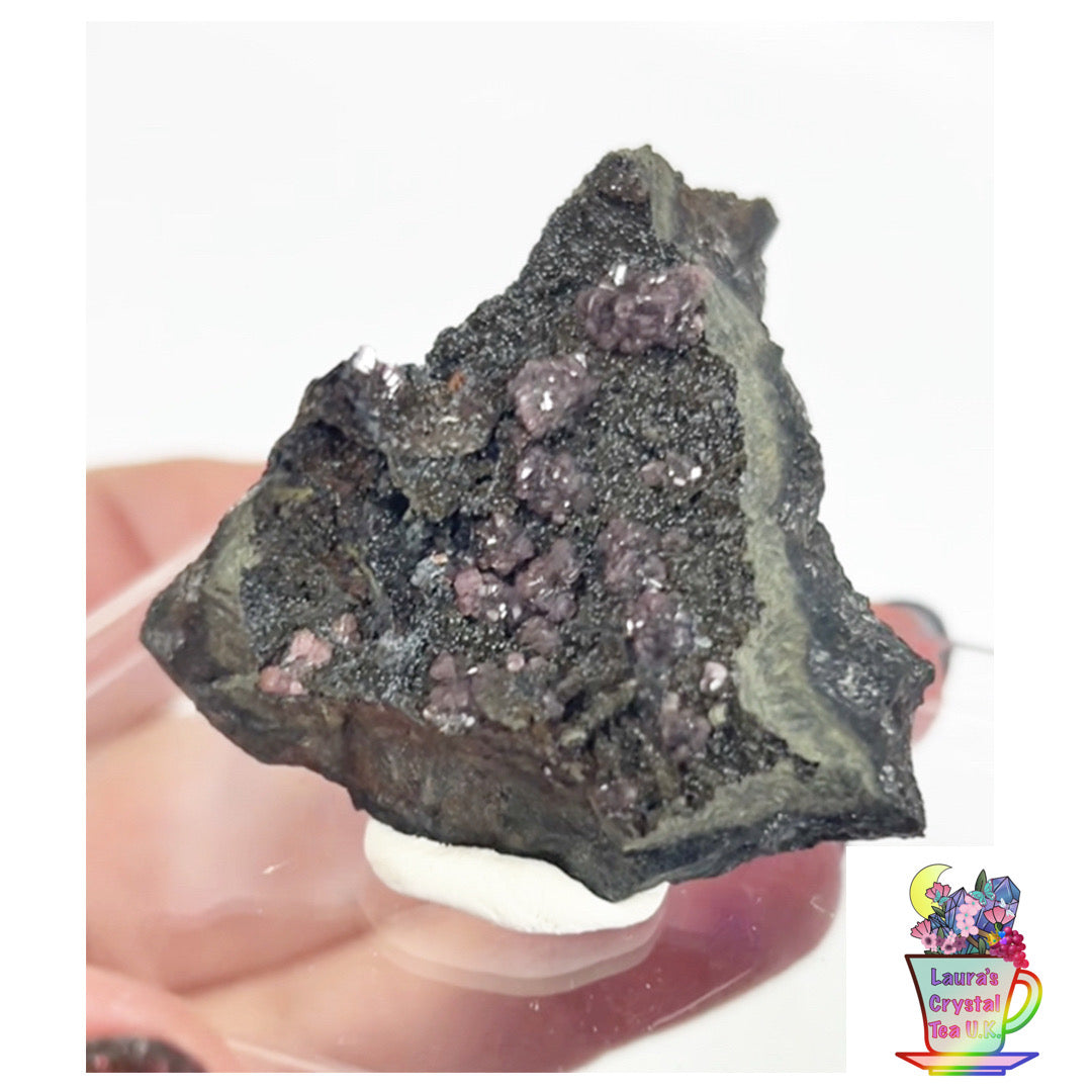 Rare Gem Rhodochrosite Pink DT Flowers From Potisi Mine, Francisco, Santa Eulalia, Chihuahua, Mexico 🇲🇽 #2