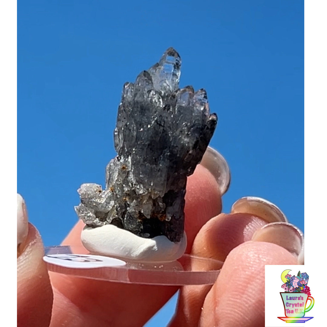 Black Vera Cruz from Piedra Parada, Veracruz, Mexico 🇲🇽 #13 - Small
