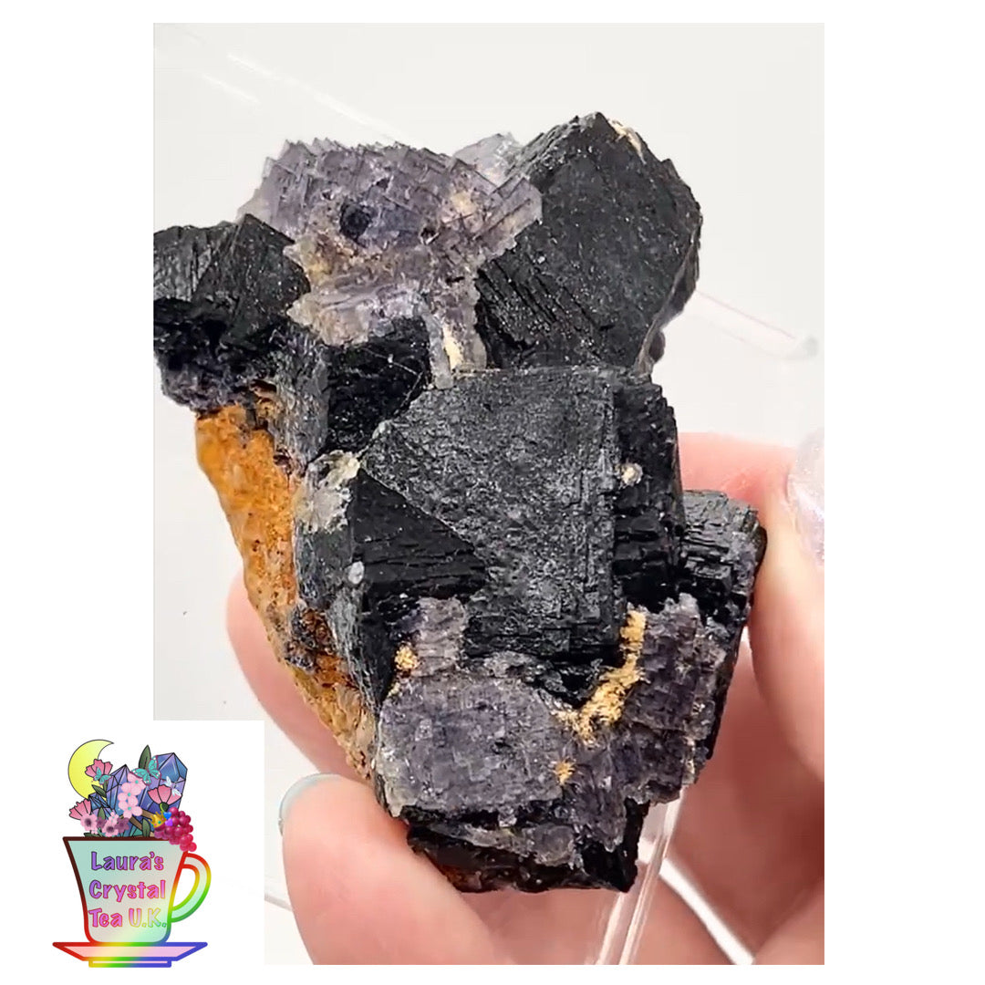 ‘Black Jack’ Blue John Fluorite #5 from Old Tor Mine, National Trust Property, Castleton, High Peak, Derbyshire, U.K. 🇬🇧 Independently Mined in 1980s - Closed Mine