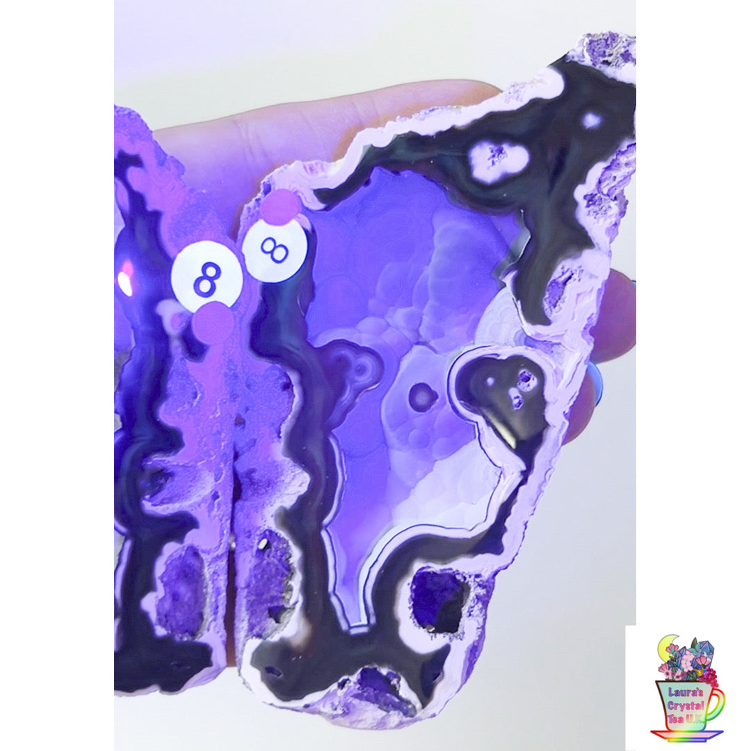 Fossilised Agatised Coral 🪸 8a Large Pair Limited Edition From Florida, USA 🇺🇸 Green UV