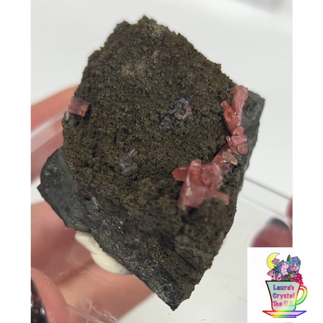 Rare Gem Rhodochrosite Salmon Pink DT From Potisi Mine, Francisco, Santa Eulalia, Chihuahua, Mexico 🇲🇽 #6