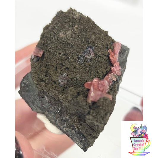 Rare Gem Rhodochrosite Salmon Pink DT From Potisi Mine, Francisco, Santa Eulalia, Chihuahua, Mexico 🇲🇽 #6