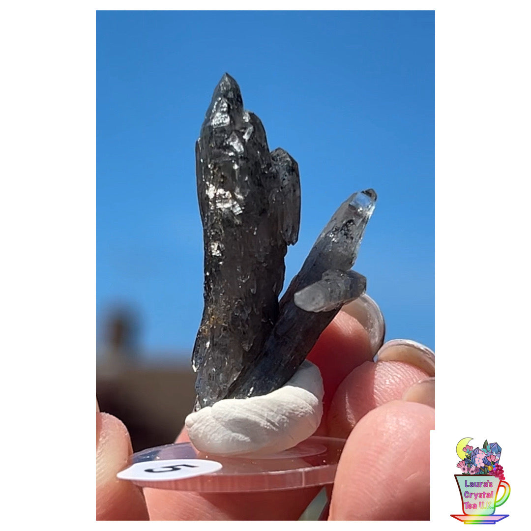 Black Vera Cruz from Piedra Parada, Veracruz, Mexico 🇲🇽 #5 - Small