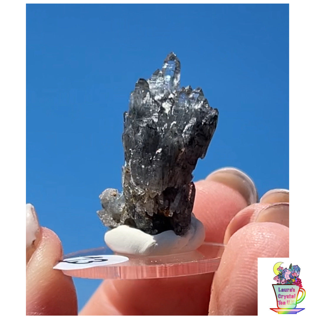 Black Vera Cruz from Piedra Parada, Veracruz, Mexico 🇲🇽 #13 - Small