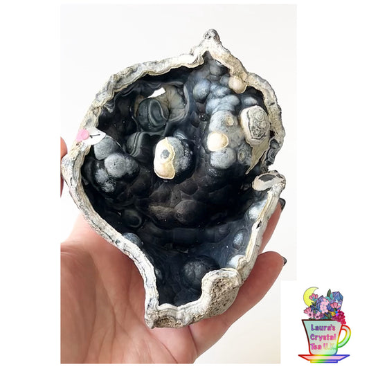 Fossilised Agatised Coral🪸 1a XL Single Limited Edition From Florida, USA 🇺🇸 Green UV