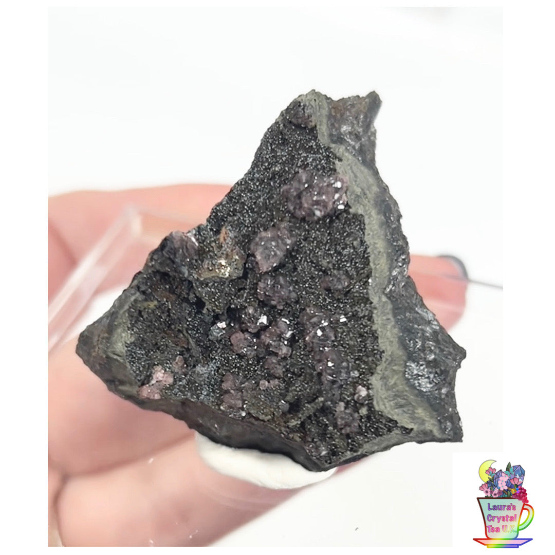 Rare Gem Rhodochrosite Pink DT Flowers From Potisi Mine, Francisco, Santa Eulalia, Chihuahua, Mexico 🇲🇽 #2