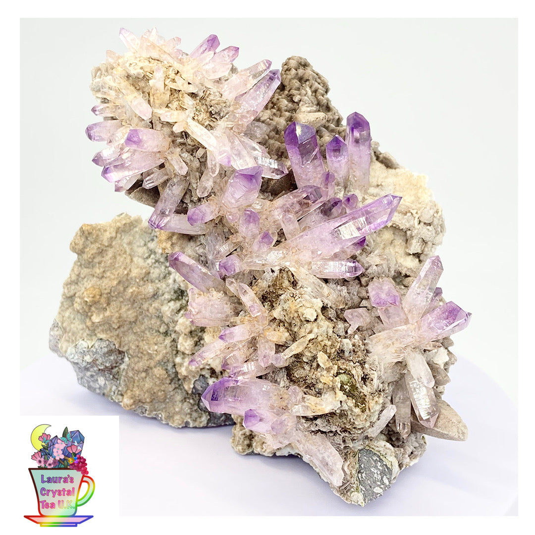 #1 Vera Cruz Amethyst XL Specimen From Veracruz, Mexico 🇲🇽