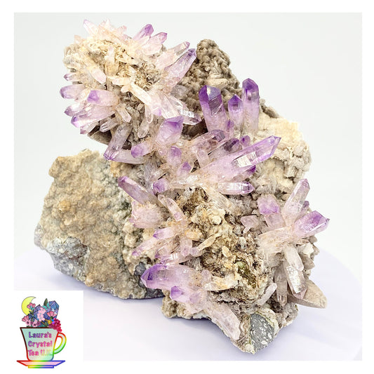 #1 Vera Cruz Amethyst XL Specimen From Veracruz, Mexico 🇲🇽