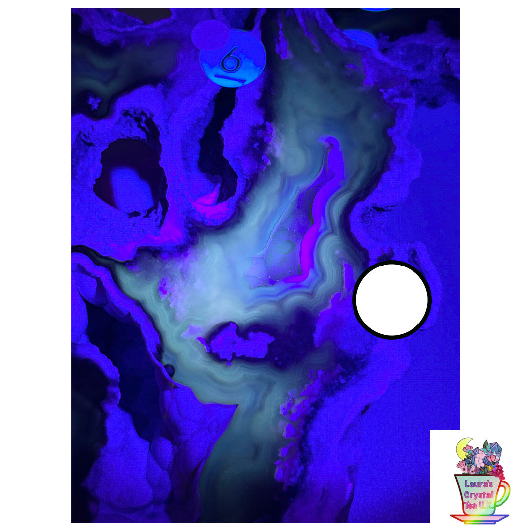 Fossilised Agatised Coral 🪸 6a Large Single Limited Edition From Florida, USA 🇺🇸 Green UV