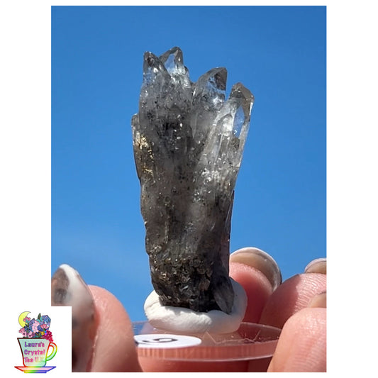 Black Vera Cruz from Piedra Parada, Veracruz, Mexico 🇲🇽 #9 - Small