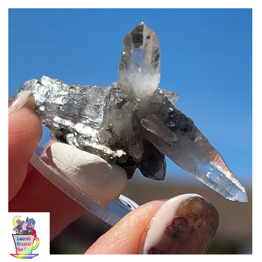 Black Vera Cruz from Piedra Parada, Veracruz, Mexico 🇲🇽 #6 - Small