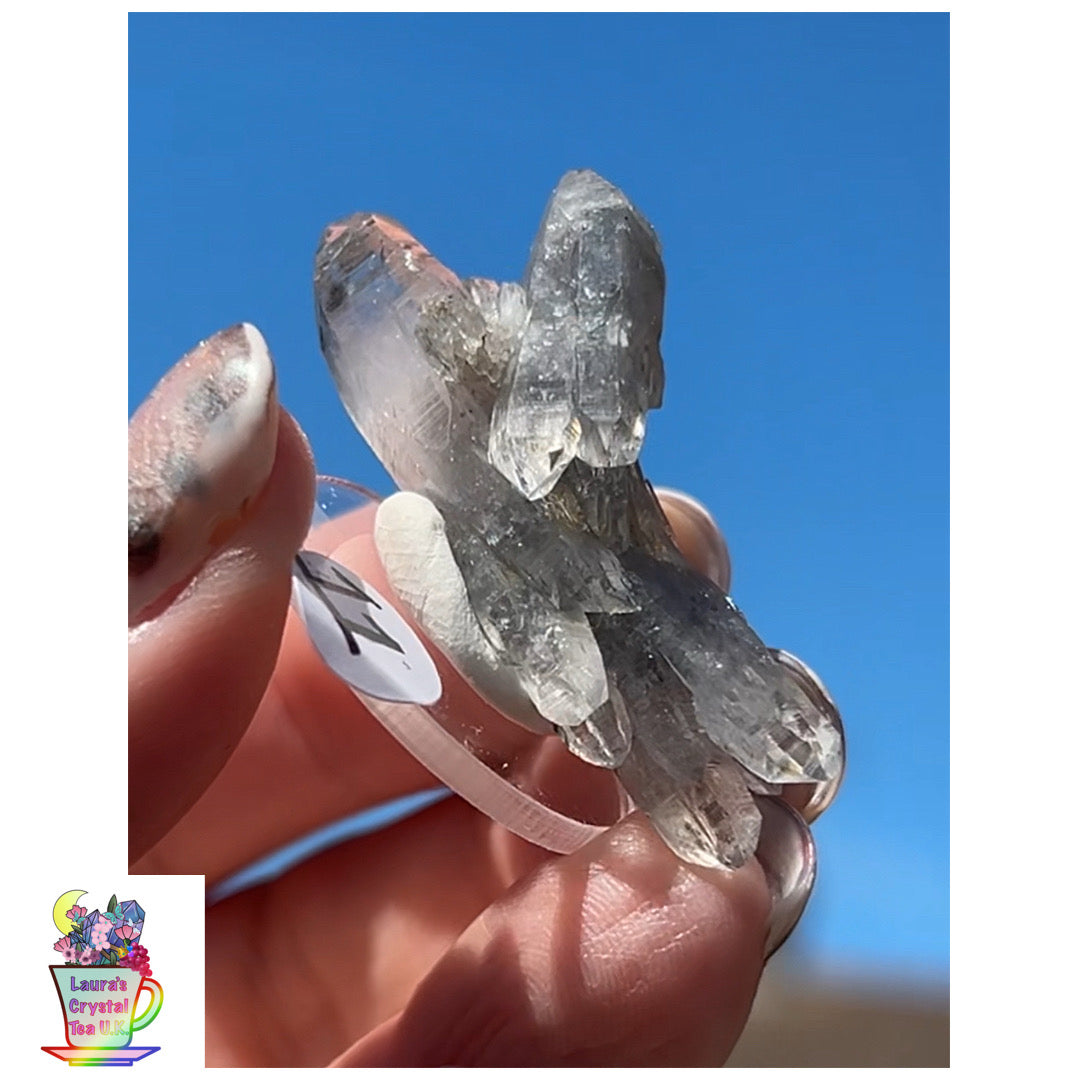 Black Vera Cruz from Piedra Parada, Veracruz, Mexico 🇲🇽 #11 - Small