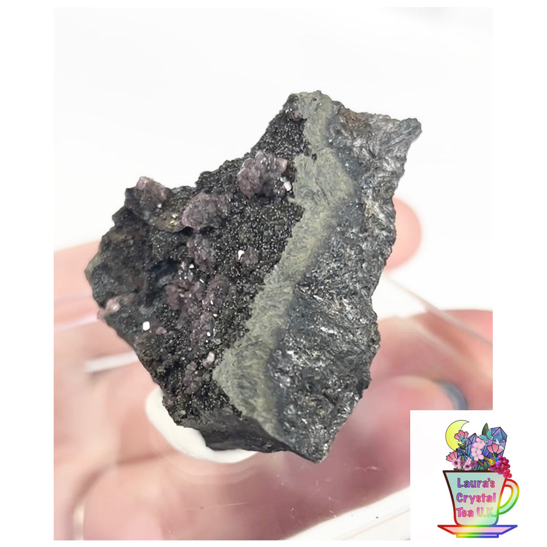 Rare Gem Rhodochrosite Pink DT Flowers From Potisi Mine, Francisco, Santa Eulalia, Chihuahua, Mexico 🇲🇽 #2