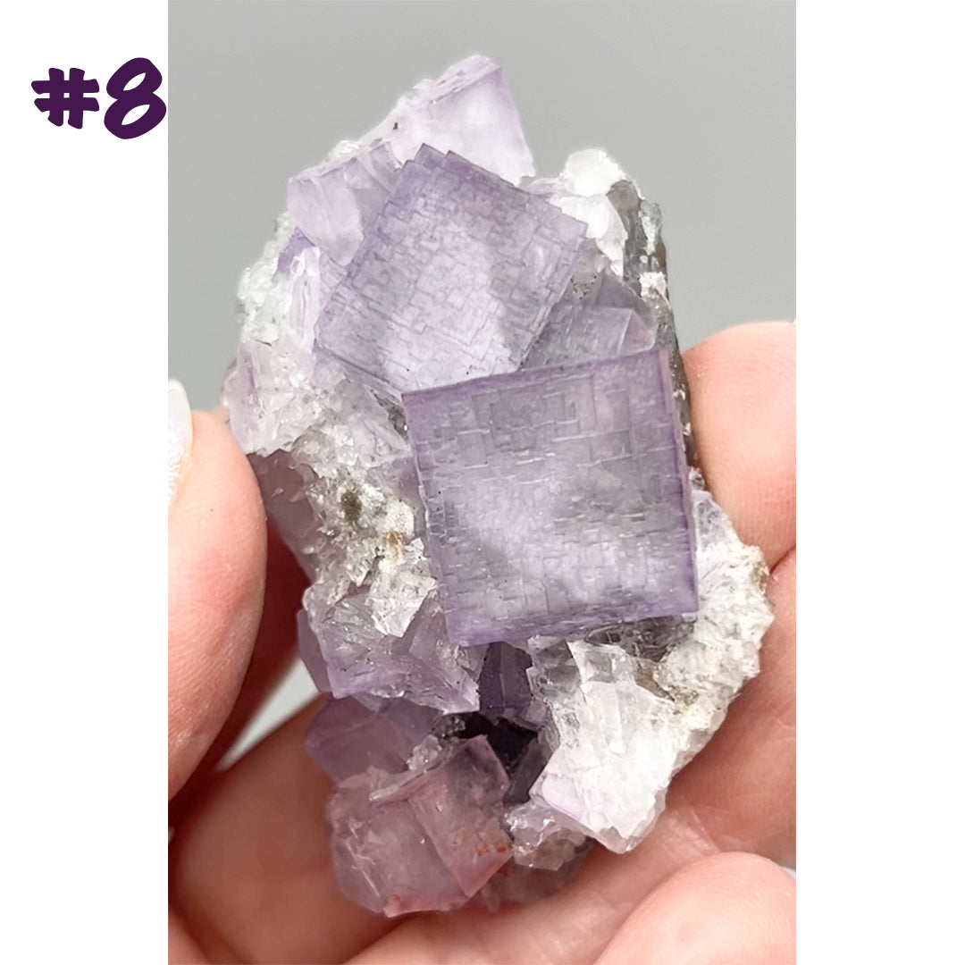 El Filo Fluorite #8 White-Purple Fluorite from El Filo Mine, Mapaimi, Durango, México 🇲🇽
