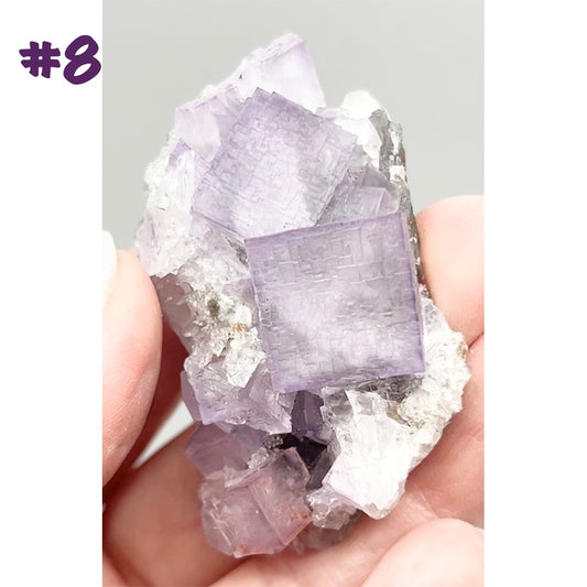 El Filo Fluorite #8 White-Purple Fluorite from El Filo Mine, Mapaimi, Durango, México 🇲🇽