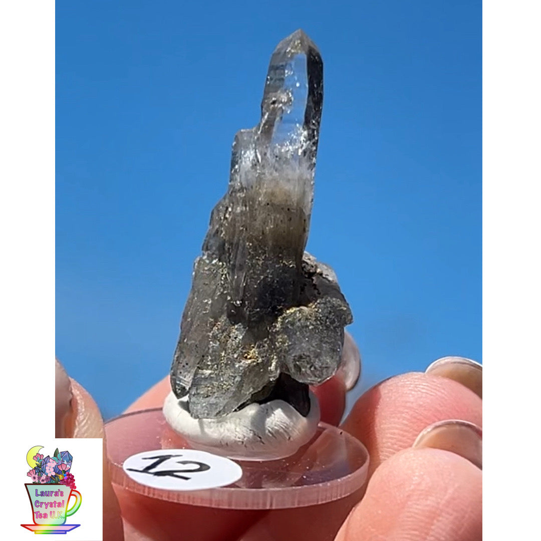 Black Vera Cruz from Piedra Parada, Veracruz, Mexico 🇲🇽 #12 - Small